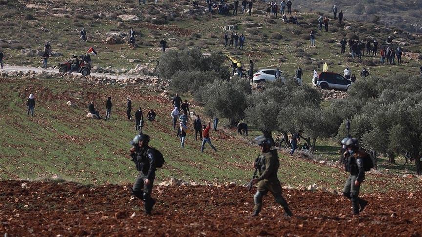 مستوطنون يهاجمون فلسطينيين ويقطعون أشجار زيتون في الضفة الغربية