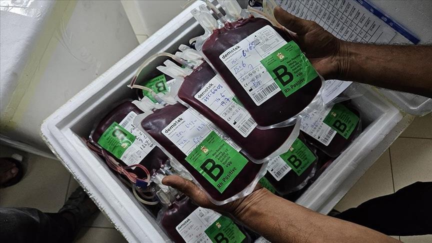 وزارة الصحة بغزة: نقص خطير بوحدات الدم وتراجع حملات التبرع لتفشي المجاعة