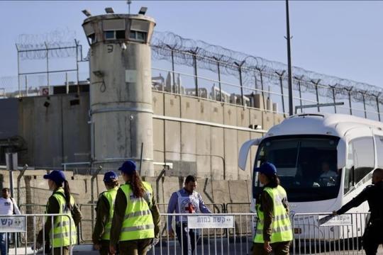 مصر تبدأ مناقشة قوائم الأسرى الفلسطينيين مع حماس وسط متابعة أمريكية لخطة ترامب