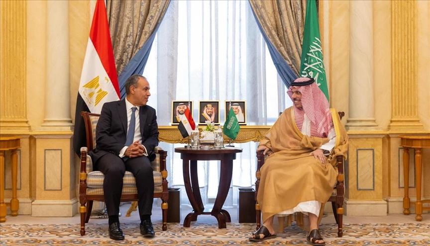 مصر والسعودية تبحثان مواصلة الحشد للاعتراف بدولة فلسطين وإنهاء الحرب