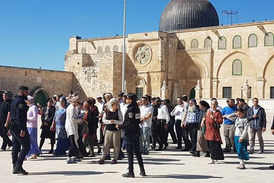 مستوطنون يقتحمون المسجد الأقصى ويؤدون طقوسًا تلمودية بحماية شرطة الاحتلال