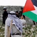 القوى الوطنية تدين سياسة الاستيطان الإسرائيلية وتؤكد دعم الوحدة الوطنية وحقوق الفلسطينيين