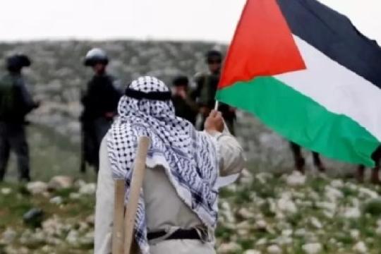 القوى الوطنية تدين سياسة الاستيطان الإسرائيلية وتؤكد دعم الوحدة الوطنية وحقوق الفلسطينيين