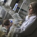 الصحة: تطوير مهنة القبالة أولوية لتعزيز خدمات الأمومة في فلسطين