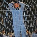 تفاصيل مروعة لتعذيب الفلسطينيين في سدي تيمان.. يتعرضون للاغتصاب