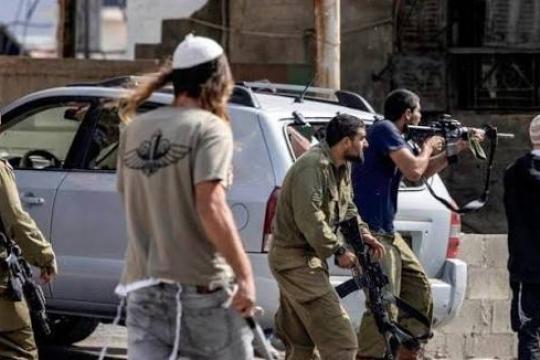 مستوطنون يهاجمون منازل في سلفيت