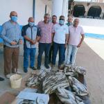 مباحث التموين تتلف كمية كبيرة من الأسماك غير الصالحة للاستهلاك