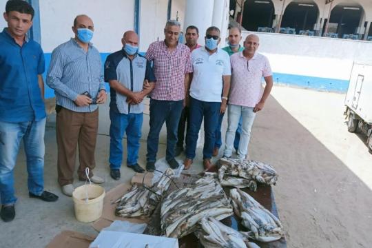 مباحث التموين تتلف كمية كبيرة من الأسماك غير الصالحة للاستهلاك