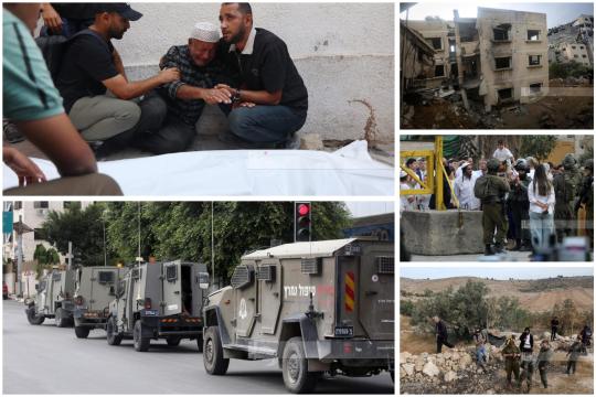 شهداء في غزة وتصعيد واسع بالضفة.. اعتقالات واعتداءات على قاطفي الزيتون وهدم منشآت واقتلاع مئات الأشجار
