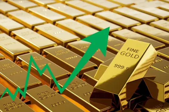 ارتفاع الذهب لأكثر من 2% مواصلاً أفضل أداء له منذ 2008