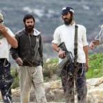 موجة اعتداءات للمستوطنين اليوم الجمعة في الضفة الغربية تشمل نابلس ورام الله والخليل والأغوار