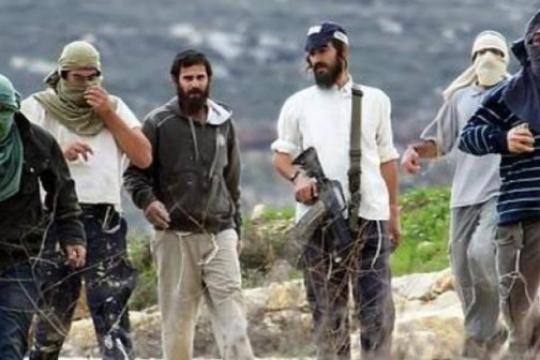 موجة اعتداءات للمستوطنين اليوم الجمعة في الضفة الغربية تشمل نابلس ورام الله والخليل والأغوار