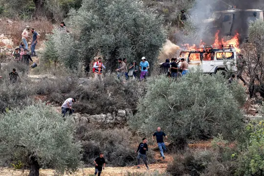 الزراعة الفلسطينية: اقتلاع 824 شجرة وسرقة 526 رأس ماشية في الضفة خلال أسبوع