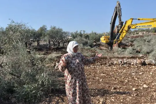الاحتلال يجرف أراضي في بلدة برقة ويقتلع أشجار زيتون شمال نابلس