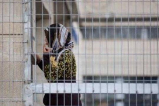 تصاعد العزل الانفرادي بحق أسيرات سجن الدامون وسط تحذيرات من انتهاكات جسيمة للقانون الدولي