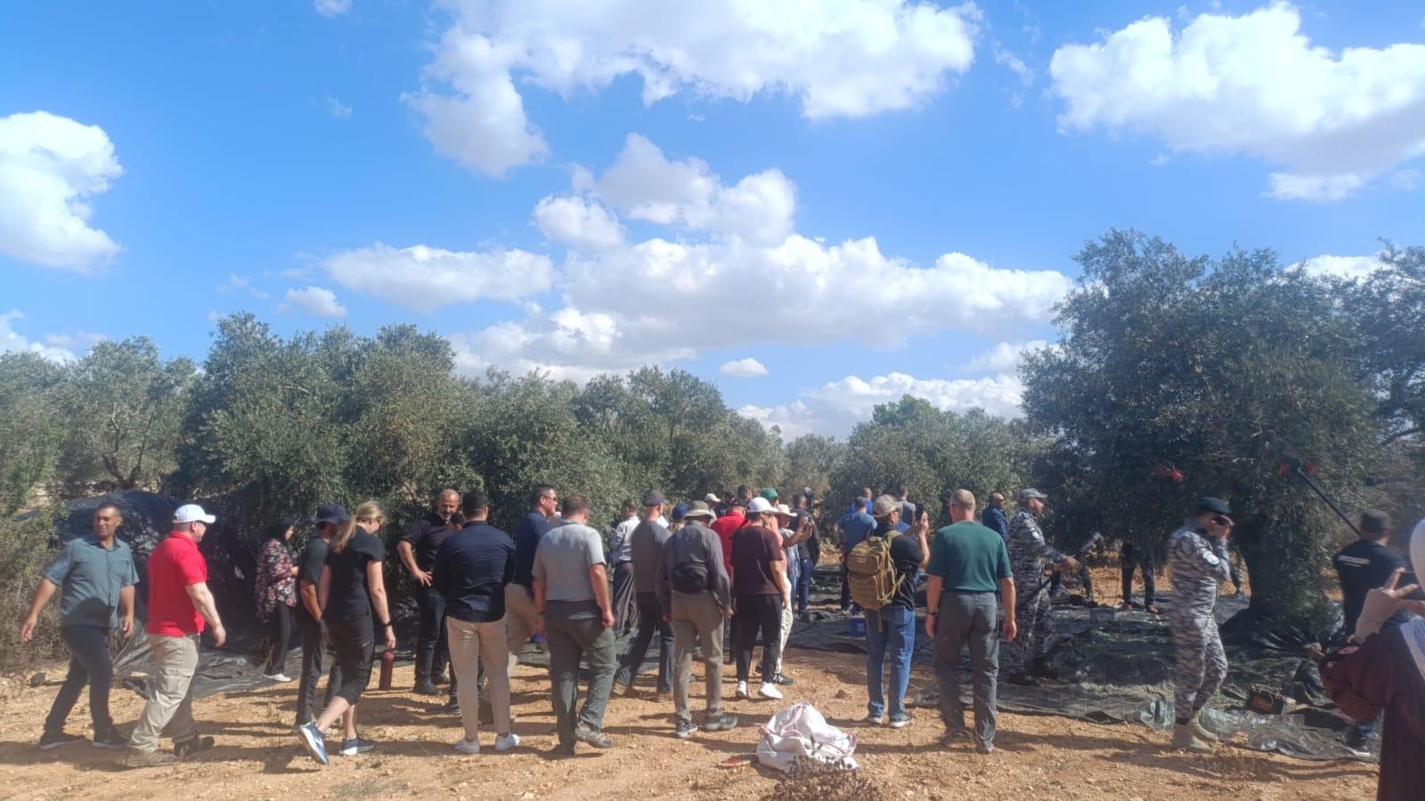 وزارة الزراعة تعلن جني المحاصيل من 445 ألف دونم من أصل 780 ألفاً