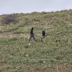 تصاعد اعتداءات الاحتلال والمستوطنين بالضفة الغربية: إصابات واعتقالات وهدم منازل