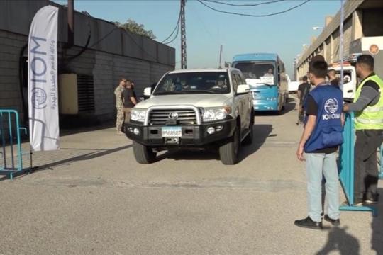 عودة 248 لاجئاً سورياً من لبنان ضمن الدفعة السادسة من برنامج "العودة الطوعية"