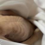 صحة غزة: انخفاض مواليد القطاع 11% خلال 2025 بسبب الحرب وتدهور الأوضاع الصحية