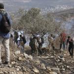 إصابة 15 فلسطينياً في مواجهات مع الجيش الإسرائيلي شرق طولكرم