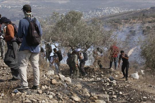 إصابة 15 فلسطينياً في مواجهات مع الجيش الإسرائيلي شرق طولكرم