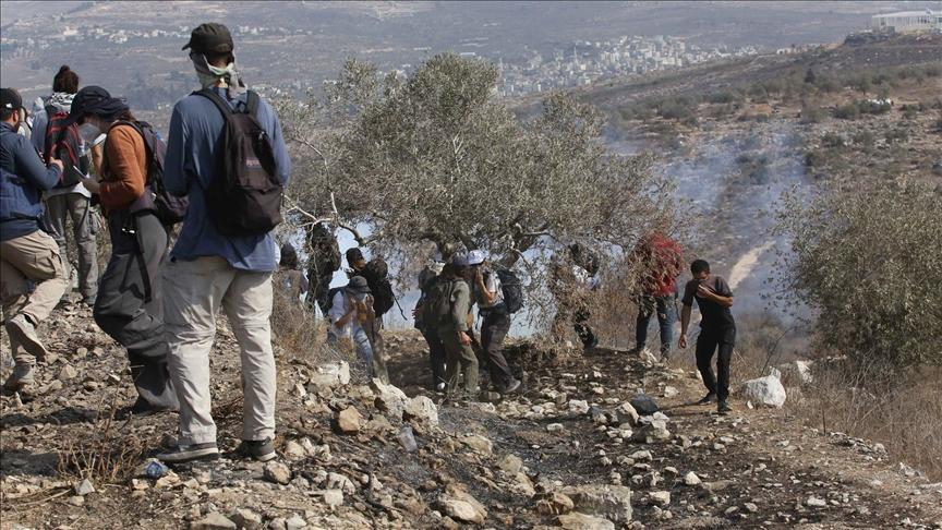 الجيش يهاجم وقفة سلمية احتجاجاً على إقامة بؤرة استيطانية والمستوطنون يهاجمون أشجار الزيتون بجنوب الضفة