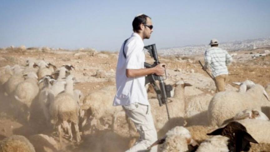 الاعتداء طال عاملين اثنين في بلدة دير دبوان ضمن سلسلة هجمات متواصلة للمستوطنين بالضفة الغربية