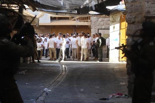 هيئة مقاومة الجدار: أكثر من 2300 اعتداء إسرائيلي في الضفة خلال أكتوبر الماضي