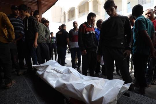 غزة: إسرائيل ارتكبت 282 خرقًا لاتفاق وقف إطلاق النار وأوقعت أكثر من 860 شهيد وجريح