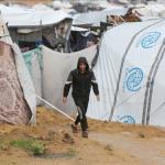 الدفاع المدني يتلقى أكثر من ألف مناشدة منذ صباح الأربعاء .. وسط أزمة خانقة للنازحين