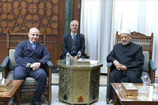 شيخ الأزهر: القضية الفلسطينية لا تحتمل الحياد وما يجري إبادة وعدوان سافر