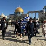 109 مستوطنين يقتحمون المسجد الأقصى تحت حماية الشرطة الإسرائيلية