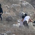 مصدر أمني إسرائيلي: 97 جريمة ارتكبها مستوطنون ضد الفلسطينيين في الضفة خلال أكتوبر