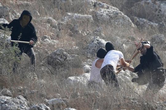 مصدر أمني إسرائيلي: 97 جريمة ارتكبها مستوطنون ضد الفلسطينيين في الضفة خلال أكتوبر