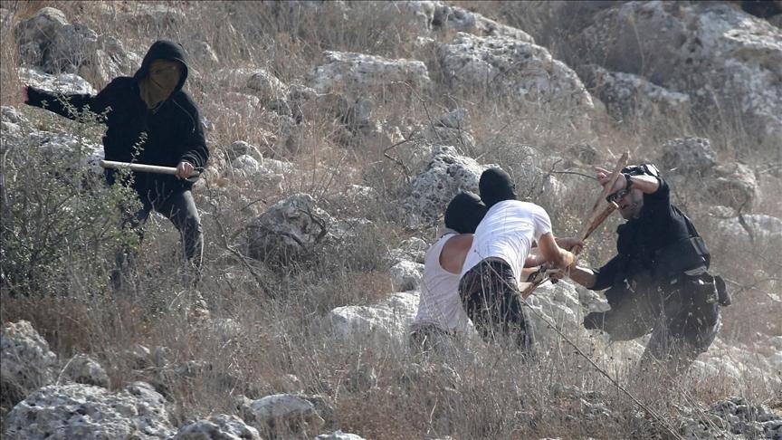 مصدر أمني إسرائيلي: 97 جريمة ارتكبها مستوطنون ضد الفلسطينيين في الضفة خلال أكتوبر