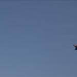 الجيش الإسرائيلي يستعد لأسابيع إضافية من القتال ضد إيران