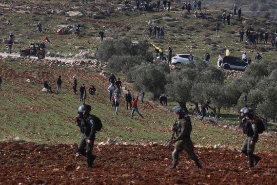 الجيش الإسرائيلي والمستوطنون يهاجمون مزارعين فلسطينيين خلال موسم قطف الزيتون في الضفة الغربية