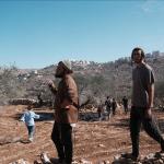 مستوطنون يتلفون 850 شجرة عنب وزيتون في خلة الحمص جنوب الخليل