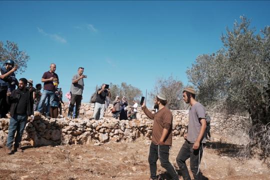 مستوطنون إسرائيليون يهاجمون الفلسطينيين بالضفة: إصابة راعٍ واعتقال نجله واقتلاع 150 شجرة