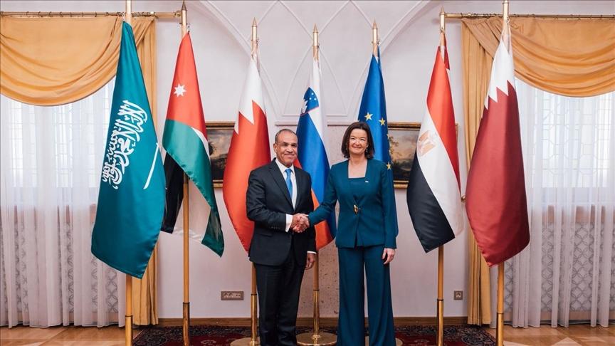 وزير الخارجية المصري يؤكد العمل لمنع حرب أمريكية–إيرانية وتثبيت وقف النار في القطاع