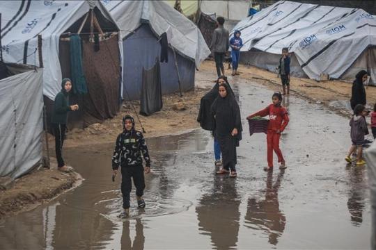 288 ألف أسرة فلسطينية تواجه كارثة مأوى بعد غرق خيامها بغزة