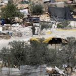 مستوطنون يتلفون محاصيل زراعية في مسافر يطا ويهاجمون منازل جنوب نابلس