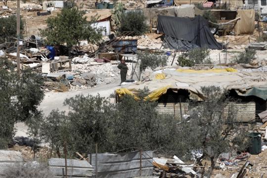 مستوطنون يتلفون محاصيل زراعية في مسافر يطا ويهاجمون منازل جنوب نابلس