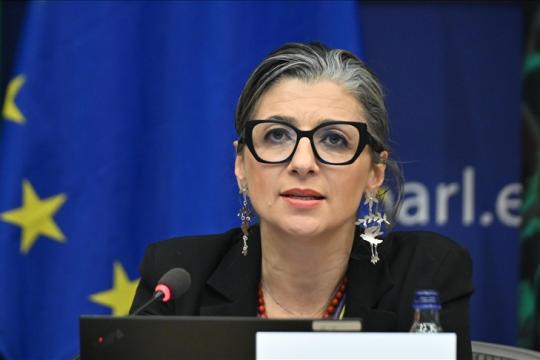 مقررة أممية تنتقد الاتحاد الأوروبي: سياسات الدول الأعضاء تُساهم في "تدمير فلسطين"