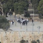 محافظة القدس: محاولة مستوطنين إدخال قرابين إلى الأقصى تصعيد خطير وانتهاك لحرمة المسجد