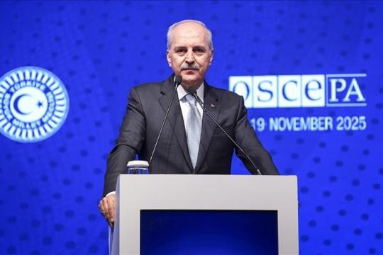 تركيا تدعو لضم فلسطين إلى الجمعية البرلمانية لمنظمة الأمن والتعاون في أوروبا