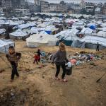 منظمة الهجرة الدولية: 795 ألف نازح في غزة مهددون بالفيضانات مع وصول العاصفة "بايرون"