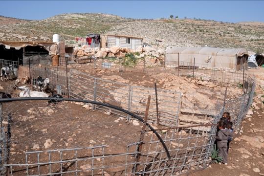 الاحتلال ينذر تجمع الخلايل البدوي بالإخلاء ويعتقل متضامنين أجانب شرق رام الله