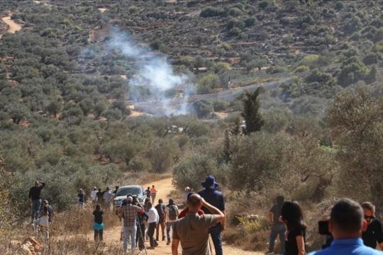 مسيّرة إسرائيلية تهاجم ناشطي سلام أمريكيين وإسرائيليين شمالي الضفة