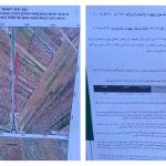 الاحتلال يخطر بإزالة مئات أشجار الزيتون في بلدة تقوع جنوب شرق بيت لحم